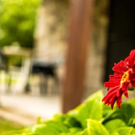 Vakantiehuis Patras Stonehouse With Large Yard - πέτρινο σπίτι με αυλή