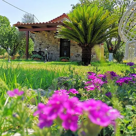 Vakantiehuis Patras Stonehouse With Large Yard - πέτρινο σπίτι με αυλή Paralía