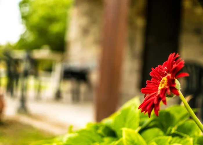 Prázdninový dům Patras Stonehouse With Large Yard - πέτρινο σπίτι με αυλή